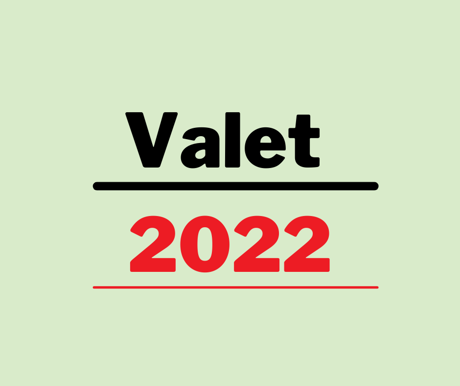 Mot ljusgrön bakgrund står det Valet 2022