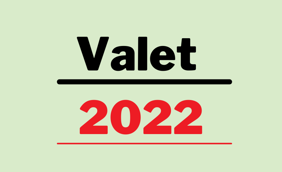 Mot ljusgrön bakgrund står det Valet 2022