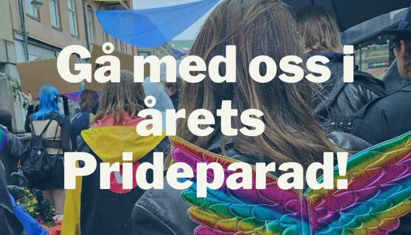 Gå med oss i årets Prideparad! I bakgrunden en person med gul regnjacka som bär en väst med V:s logga på ryggen. I förgrunden en person som bär regnvågsfärgade vingar.